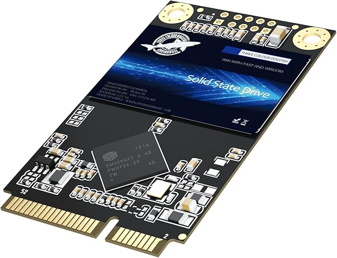 Dogfish mSATA SSD 256GB 3D NAND TLC SATA III 6 Gb/s, mSATA (30x50.9mm) Internal Solid State Drive - Compatible with Desktop PC Laptop - (MSATA 256GB)