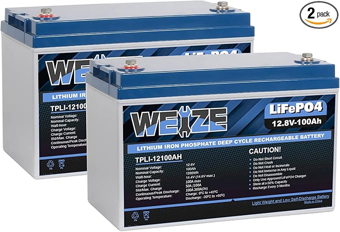 WEIZE 12V 100Ah LiFePO4 Battery Group 31 Lithium Battery, Built-in 100A BMS, Low Temperature Protection Deep Cycle Battery for Trolling Motor, RV, Solar, Marine, Camping, Home Energy Storage (2 Packs)
