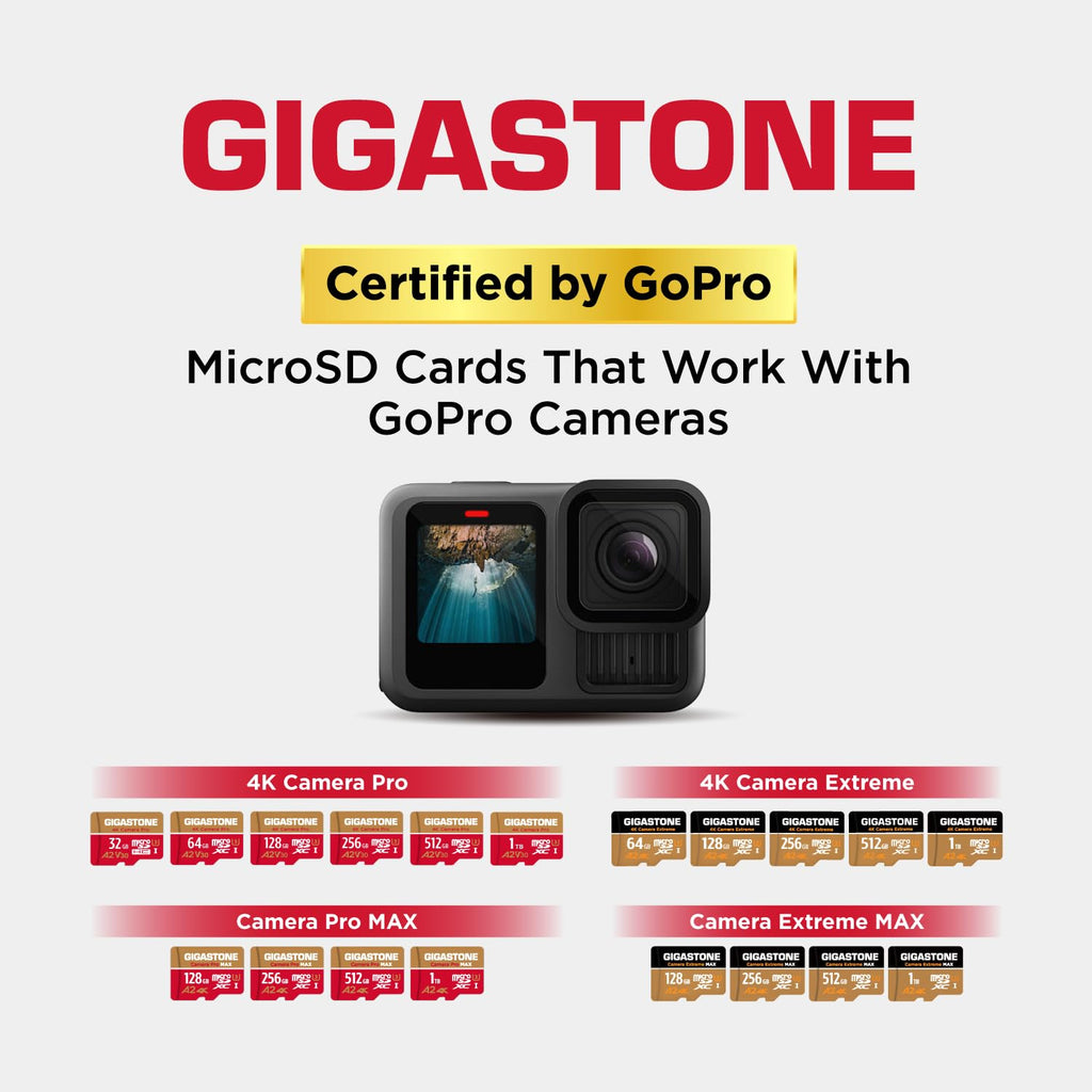 【5-Years Data Recovery】 GIGASTONE 256GB Micro SD Card, 4K Camera Pro, A2 V30 for Smartphone, Gopro, Action Cams, 4K UHD Video, Nintendo-Switch Compatible, Up to 100MB/s, UHS-I U3 C10 with Adapter