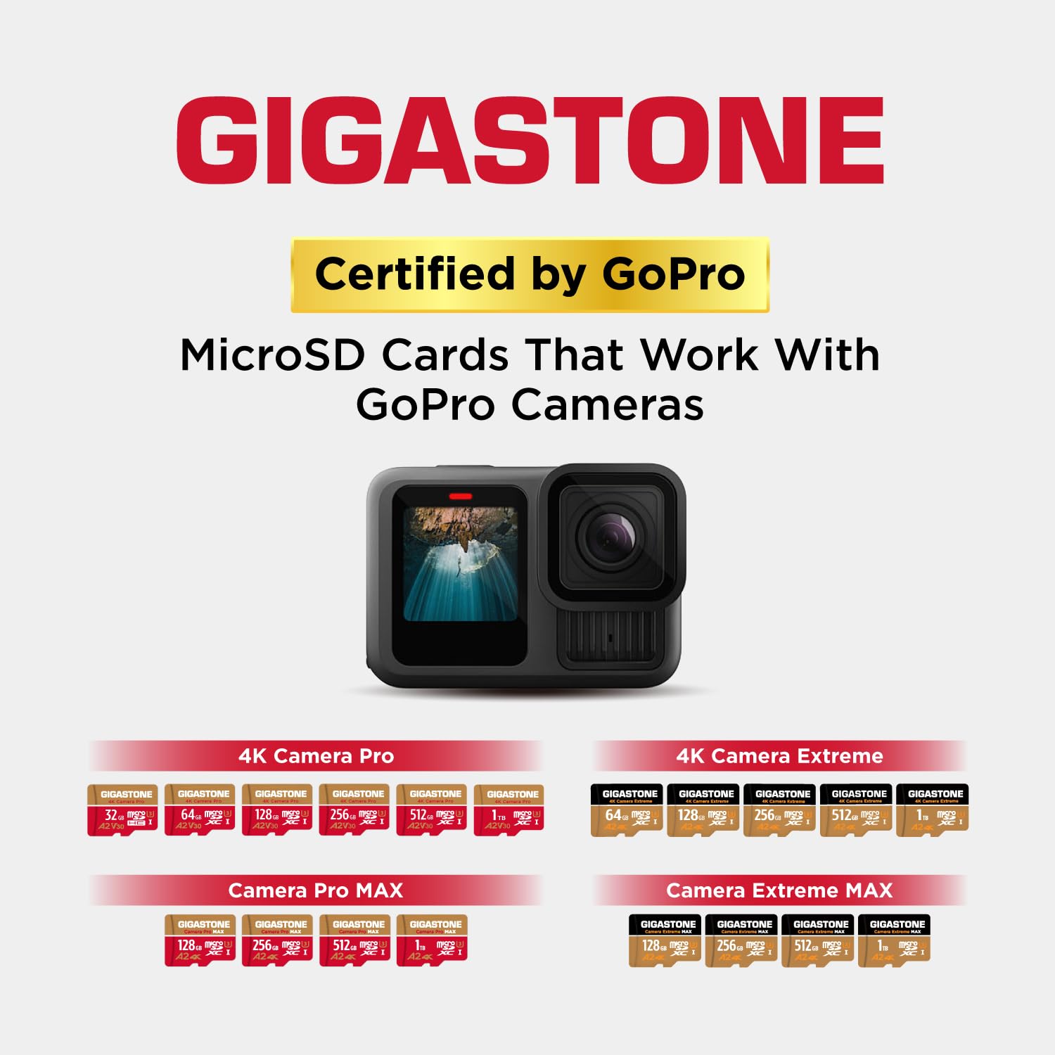【5-Years Data Recovery】 GIGASTONE 256GB Micro SD Card, 4K Camera Pro, A2 V30 for Smartphone, Gopro, Action Cams, 4K UHD Video, Nintendo-Switch Compatible, Up to 100MB/s, UHS-I U3 C10 with Adapter