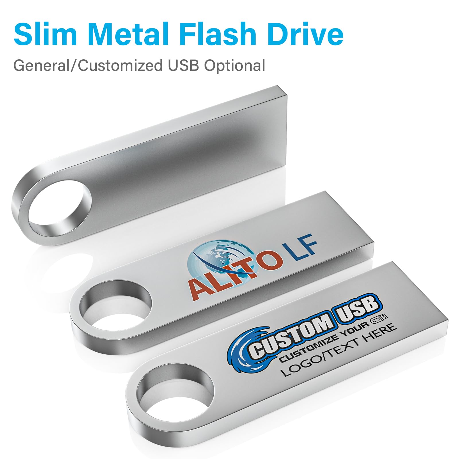 ABLAZE 1GB Flash Drive 10 Pack, Metal USB 2.0 Thumb Drives with Keychains USB Sticks Pendrives (Sliver)