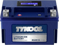 YTX12-BS High Performance LiFePO4 Lithium Motorcycle Battery,360CCA,12V 6Ah,Digital Readout,Fits for Honda TRX250 Recon,Suzuki LT-F250 Ozark,BRP (CAN-AM) DS250 ATV,Polaris RZR UTV,Vespa 300cc Scooter