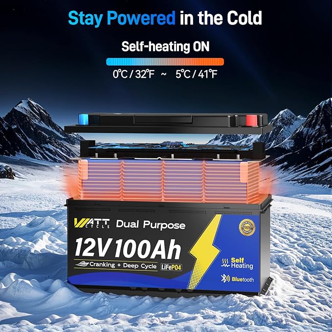 12V 100Ah Bluetooth LiFePO4 Battery, [Cranking &Deep Cycle] Lithium Battery with Self-Heating, Built-in 200A BMS, Perfect for Trolling Motor, RV, Marine, Boat(2 Pack)
