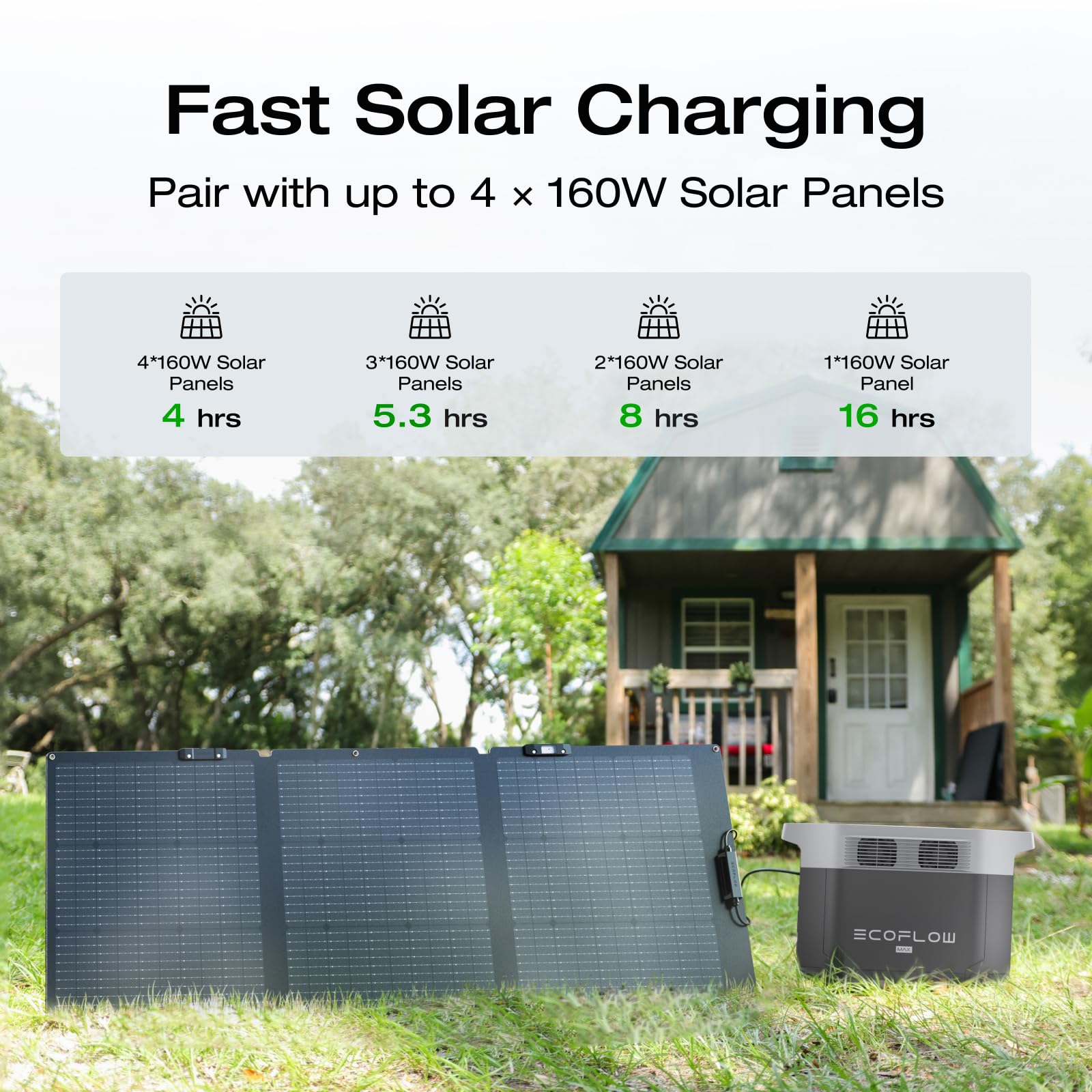 EF ECOFLOW Solar Generator Delta 2 Max with 2x160W Solar Panel