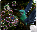 Hokafenle Hummingbird Mouse Mat - Square Waterproof Non-Slip Rubber Base Mouse Pad for Office & Home Laptop
