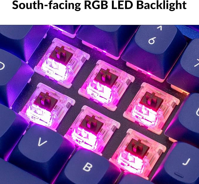 Keychron Q3 RGB Tenkeyless Layout QMK/VIA Programmable Macro Hot-swappable Wired Custom Mechanical Keyboard with Gateron G Pro Blue Switch Double Gasket Compatible with Mac Windows Linux (Blue)