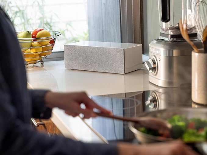 Audioengine All in One A2+ (B2) Portable Wireless Speaker - Audio with Lossless aptX Bluetooth and Analog Audio Input for Phone, Tablet, and Computers