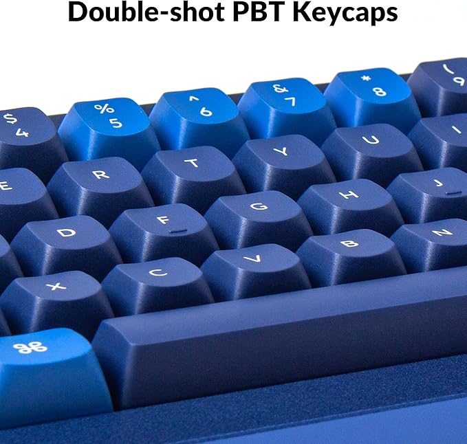 Keychron Q2 Wired Custom Mechanical Keyboard, QMK/VIA Programmable Macro, Full Aluminum, Hot-Swappable Gateron G Pro Blue Switch, 65% Layout Double Gasket Compatible with Mac and Windows - Blue