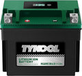 TYKOOL YTX12-BS STD LiFePO4 Lithium Motorcycle Battery,280CCA,2X Cranking Amps,Digital Readout,Compitable for BMW F850GS,Kawasaki Vulcan 900, BRP (Can-AM) DS250 ATV,Piaggio Vespa 300cc Scooter